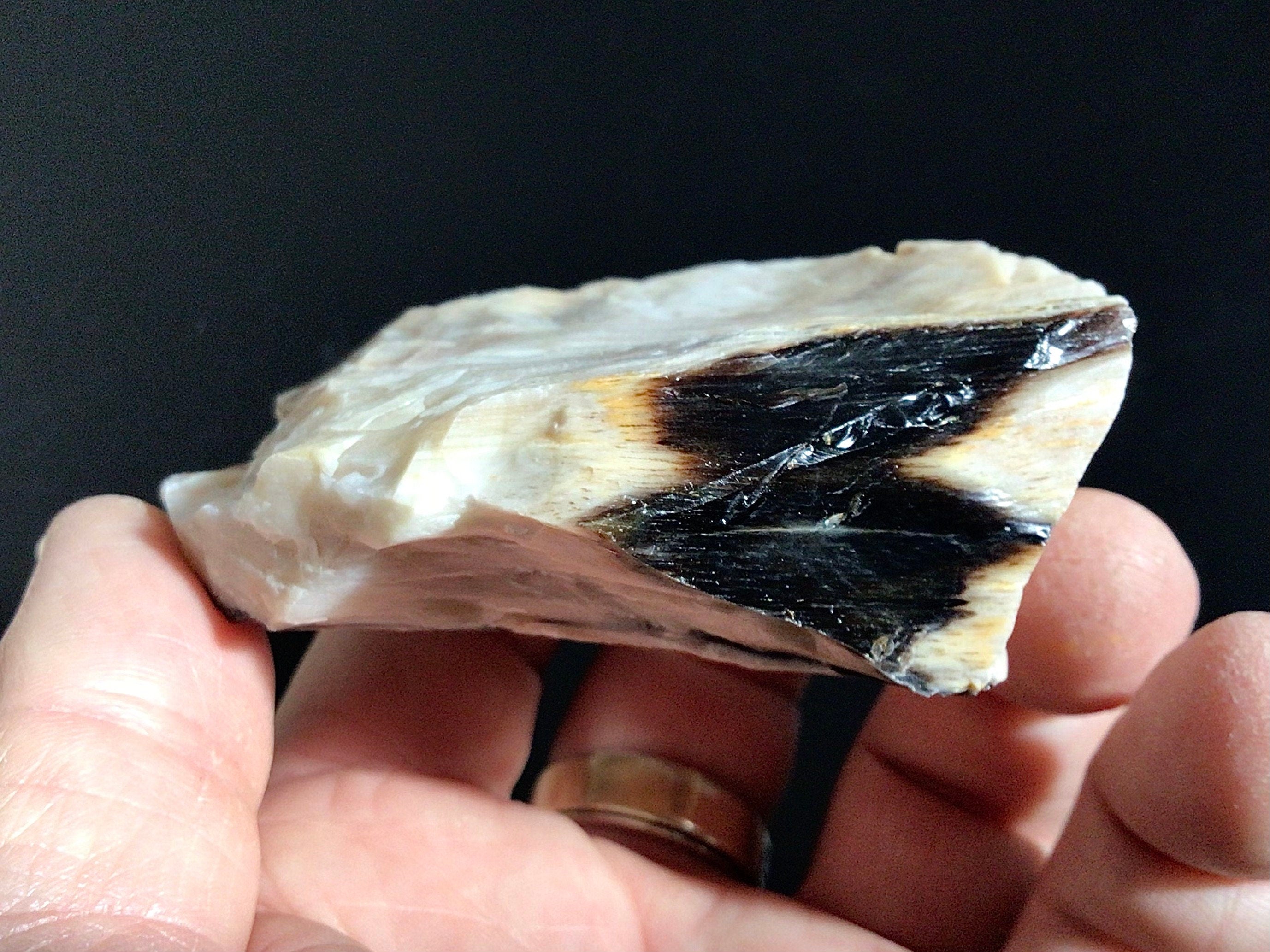 96g Natural Opalised Wood Rough Piece 2C