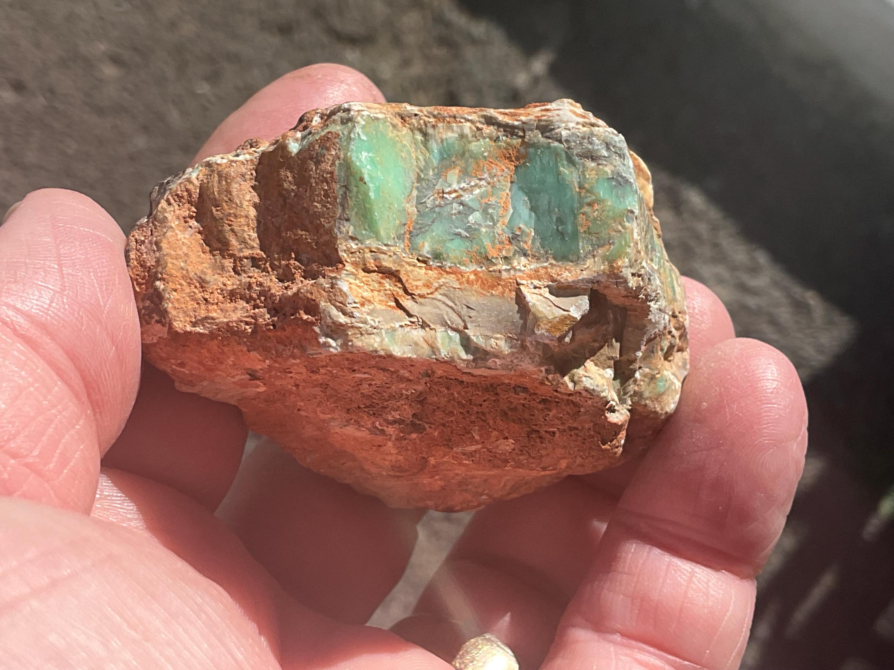 116g Sliced Western Australian Variscite Piece 1C