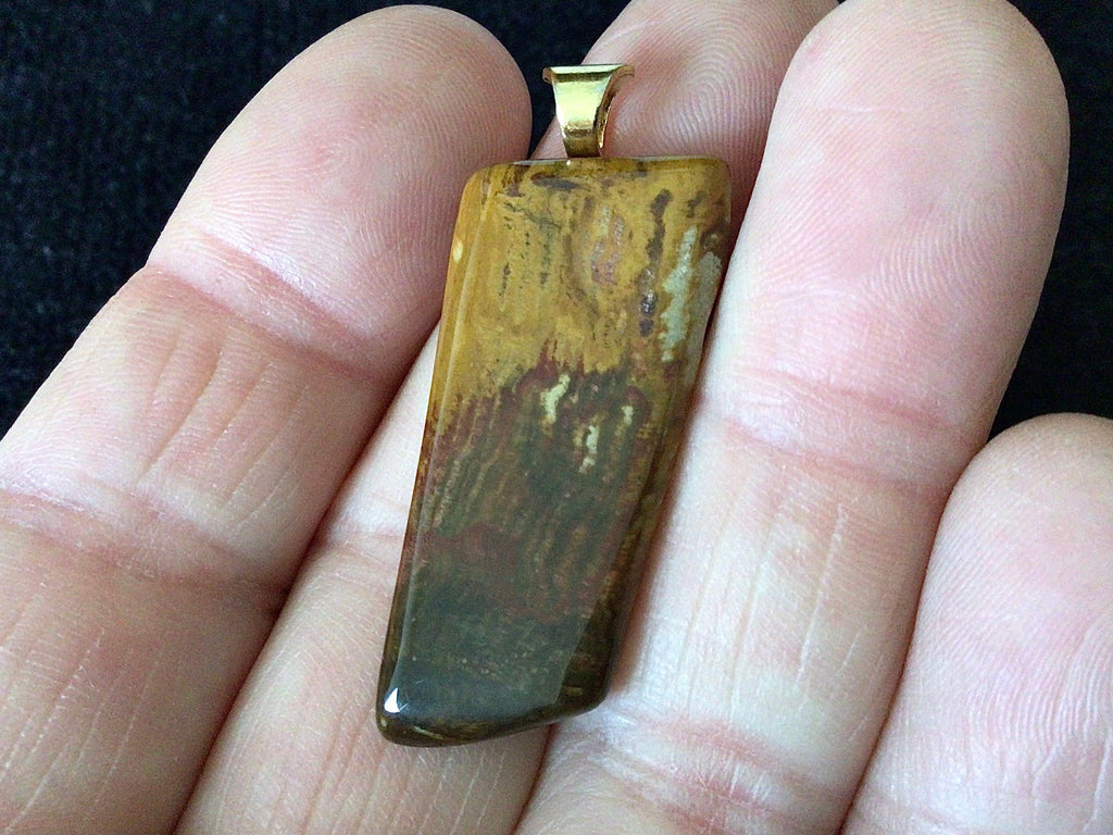 5g Petrified Wood Tumble Pendant 2B