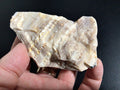 100g Natural Opalised Wood Rough Piece 2A