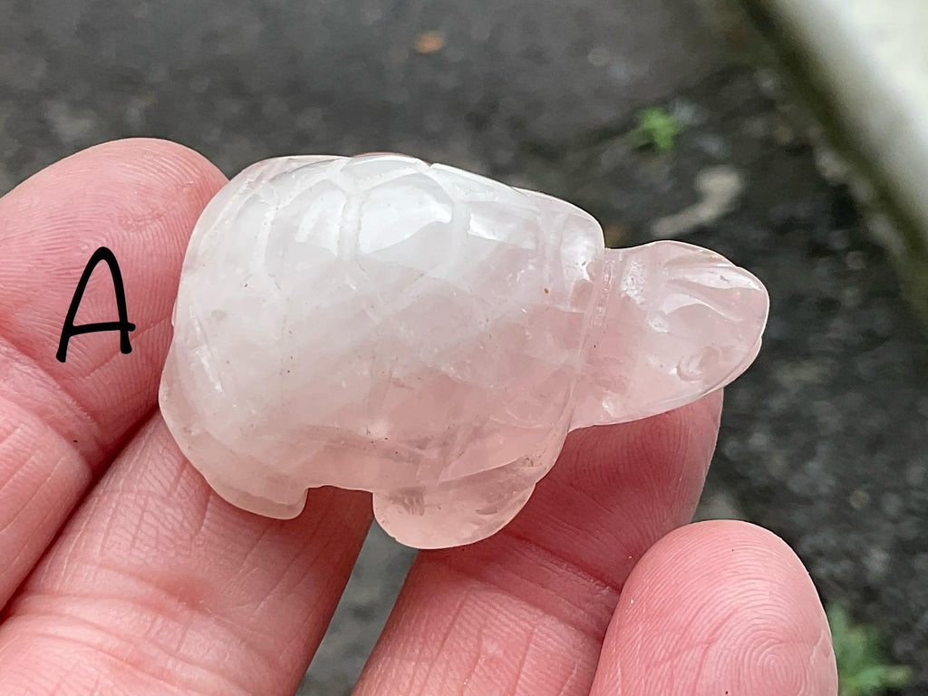 Rose Quartz Small Turtles