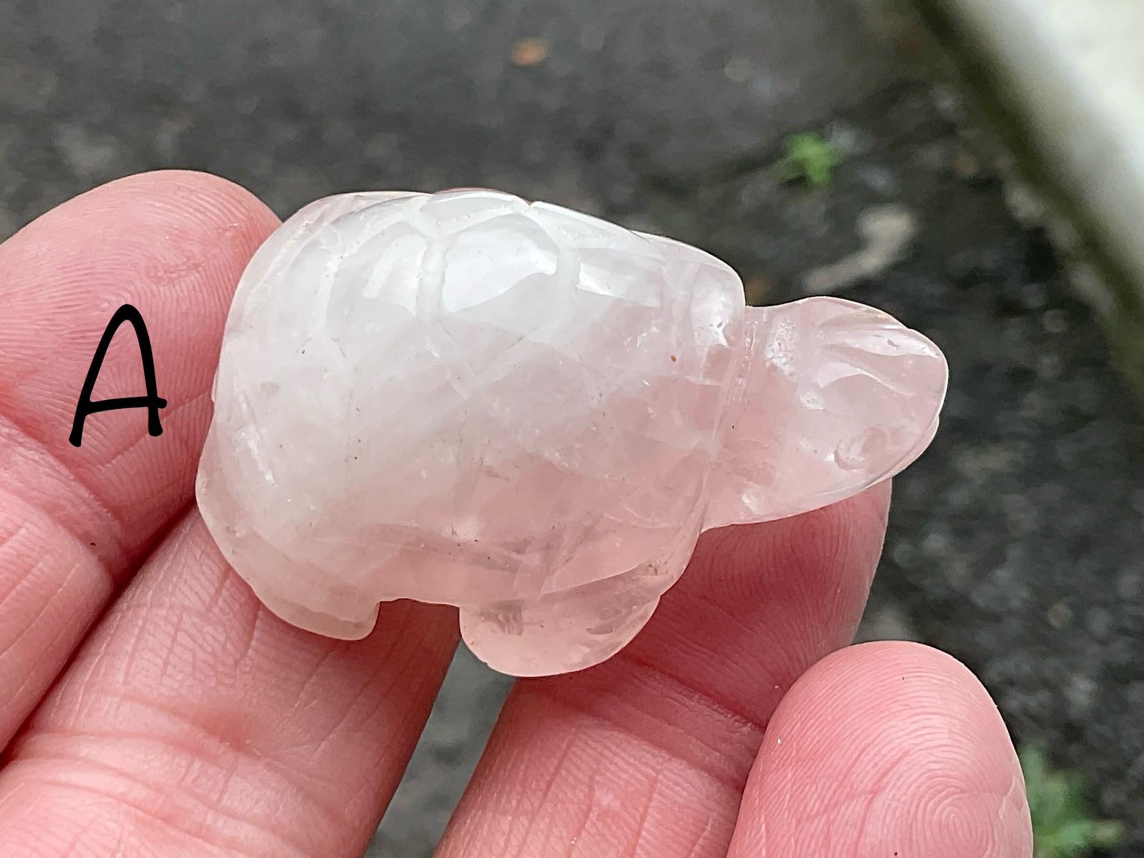 Rose Quartz Small Turtles