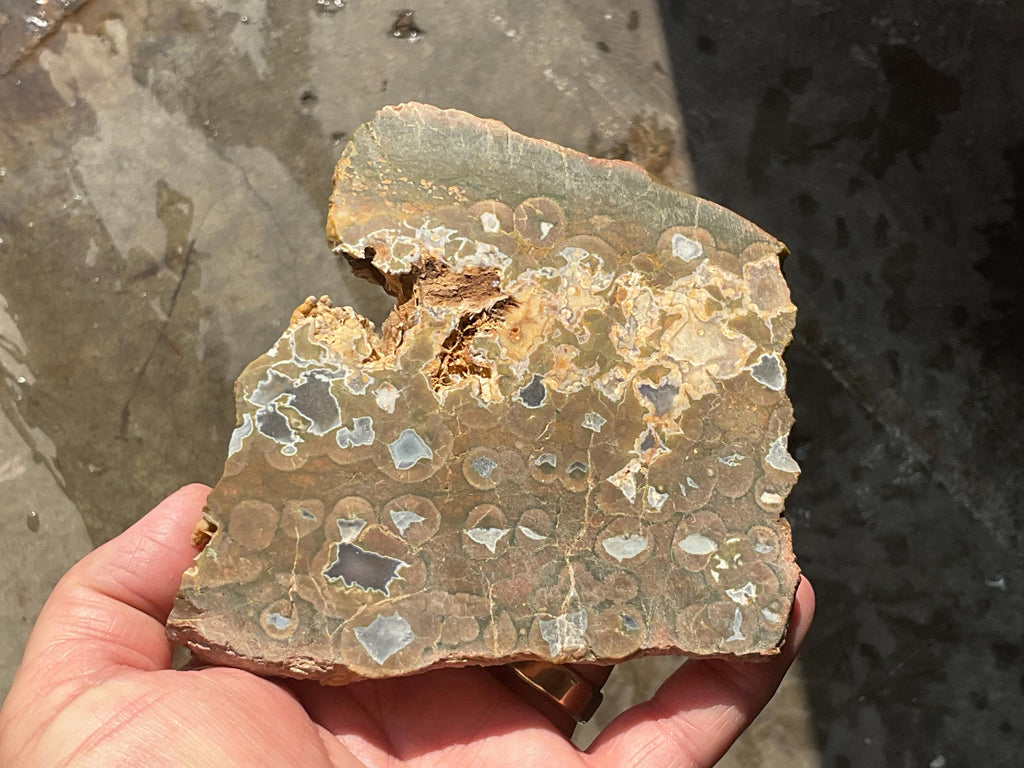 326g Mt Hay Rhyolite (Amulet Stone) Unpolished Slab