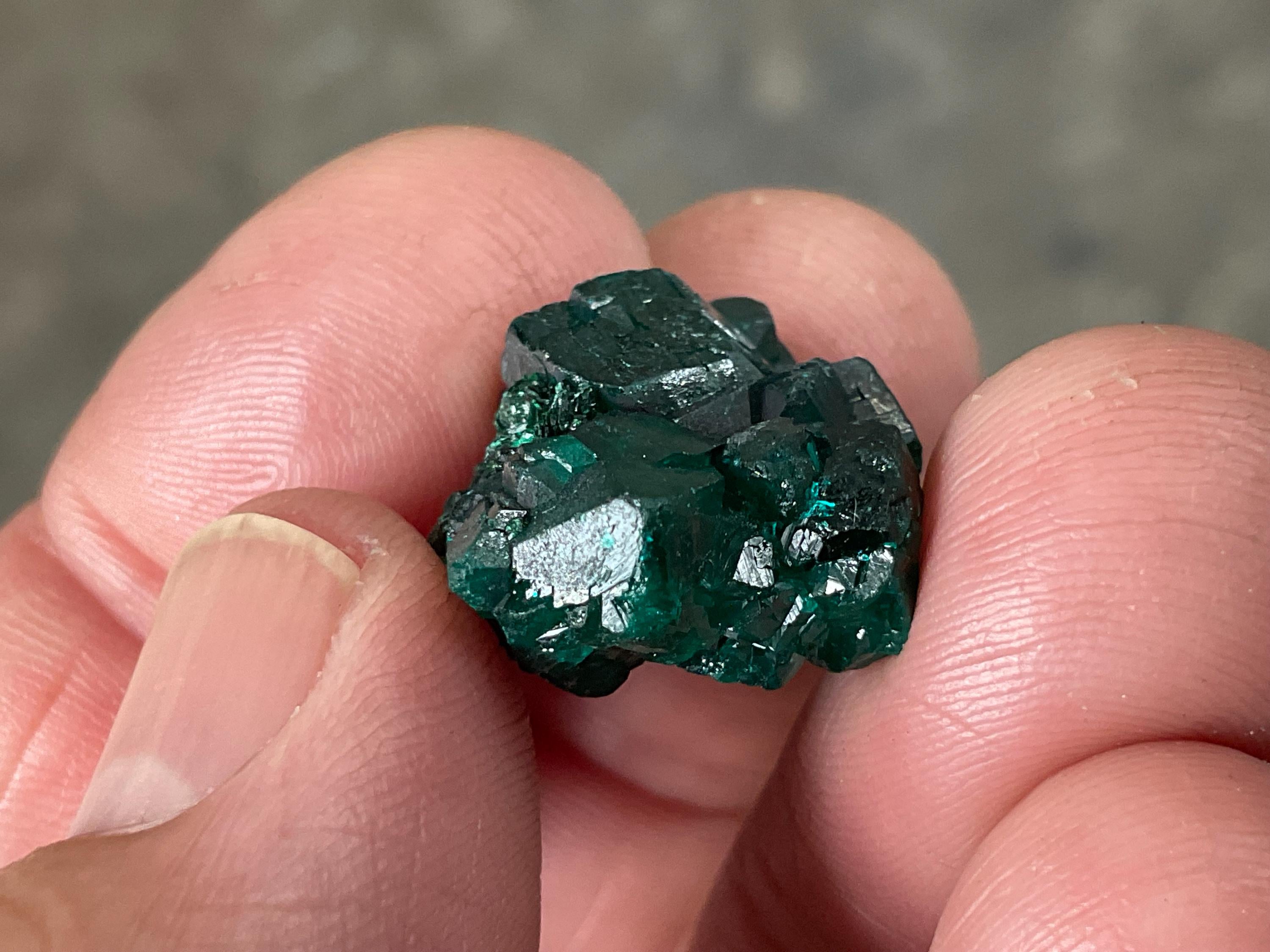RESERVED FOR ASHRA ** 6g Congolese Dioptase Specimen B