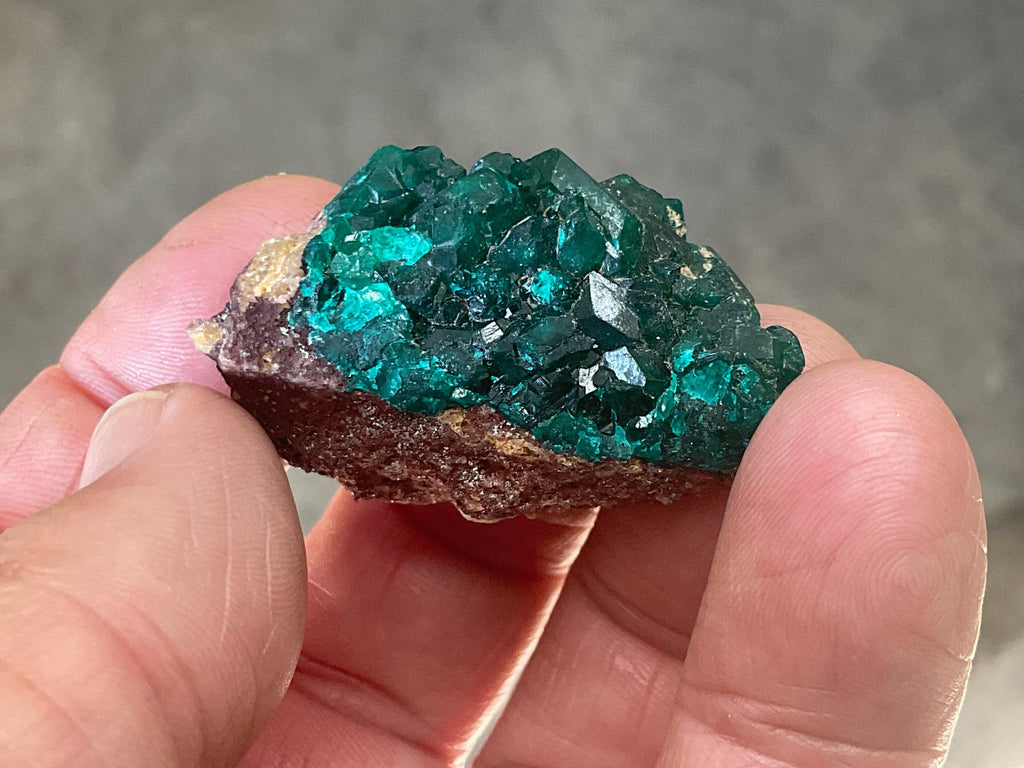 22g Congolese Dioptase Specimen 9B
