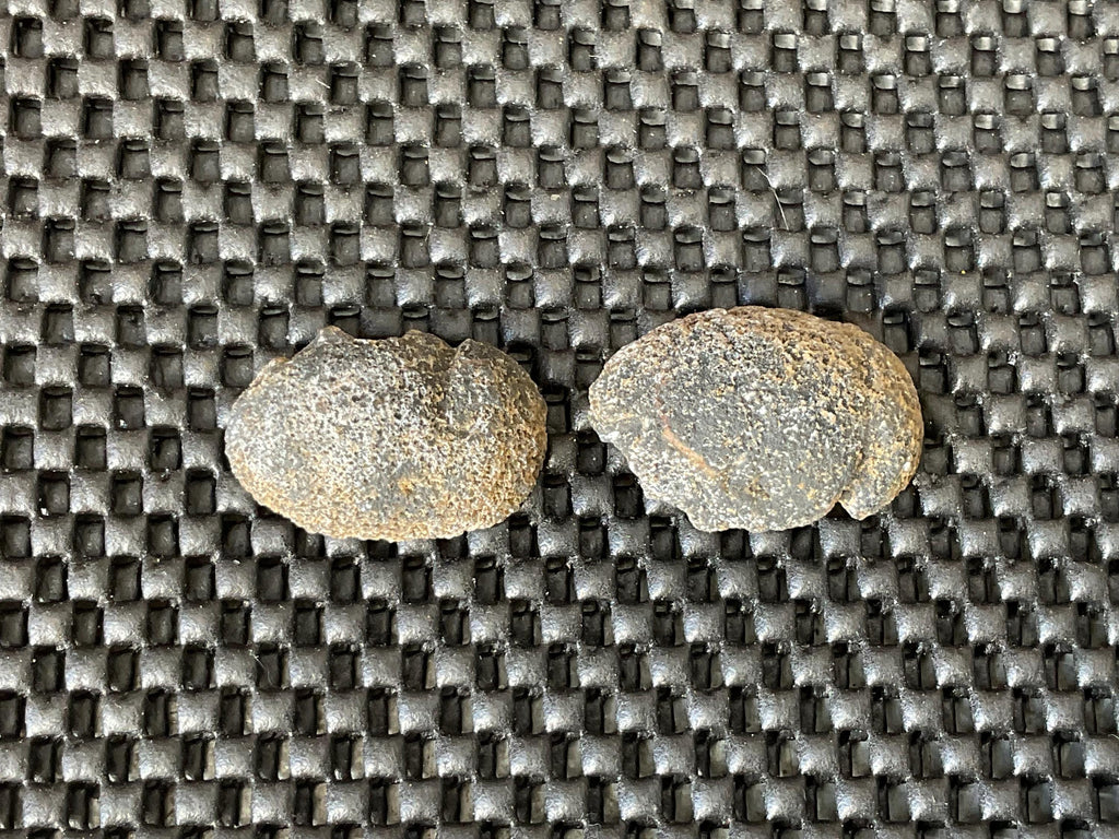 20g Small Brazilian Polished Agate Pair D