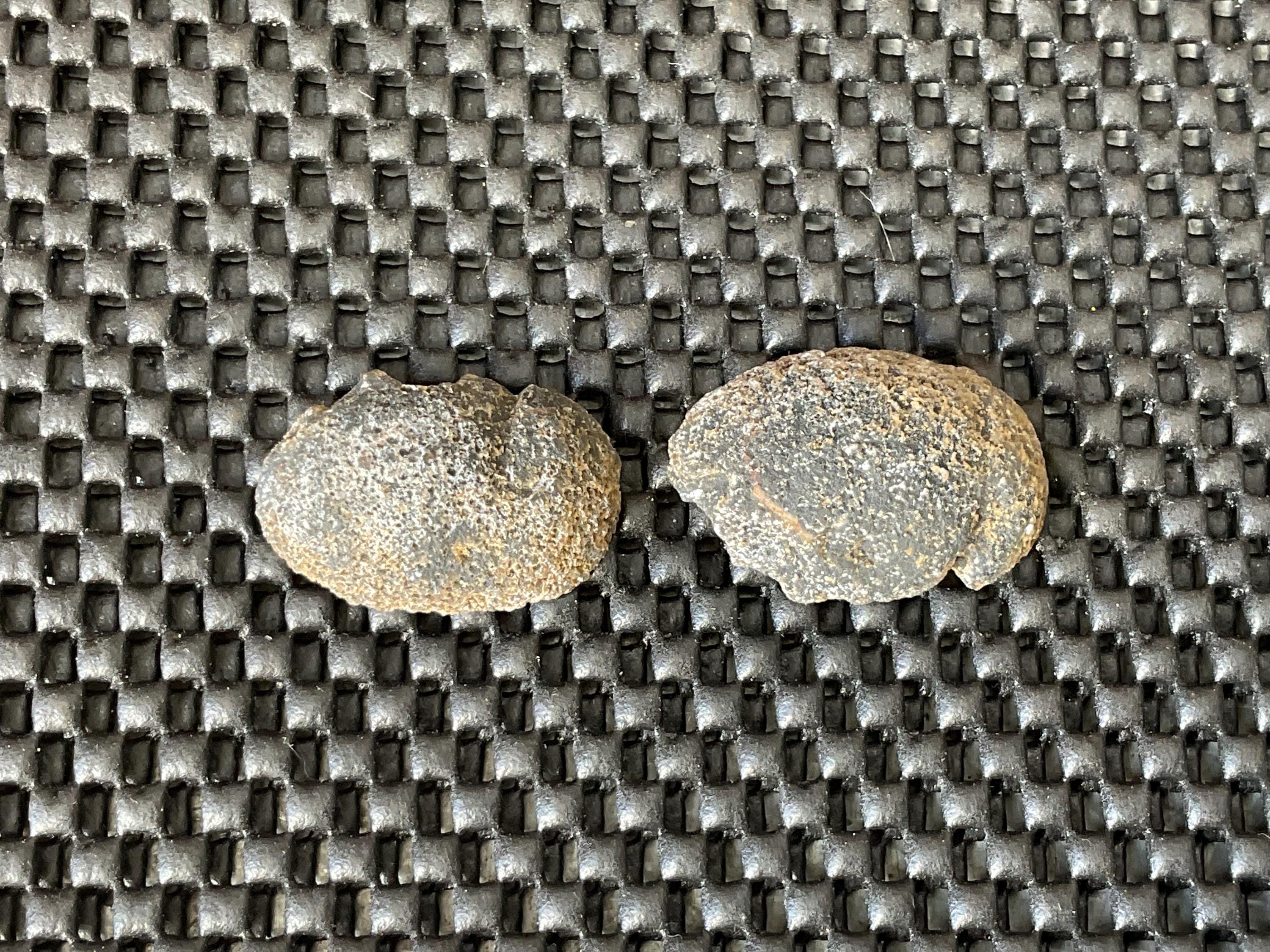 20g Small Brazilian Polished Agate Pair D