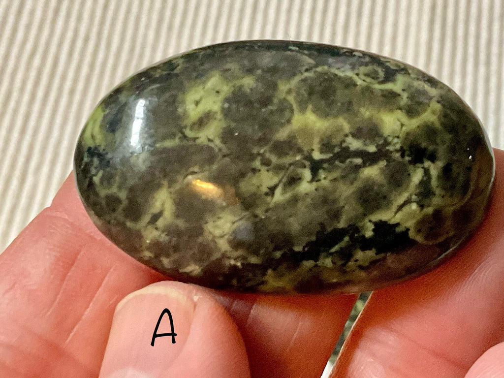Pakistan Snakeskin Jasper (Asterite) Thumb Stone Group 4