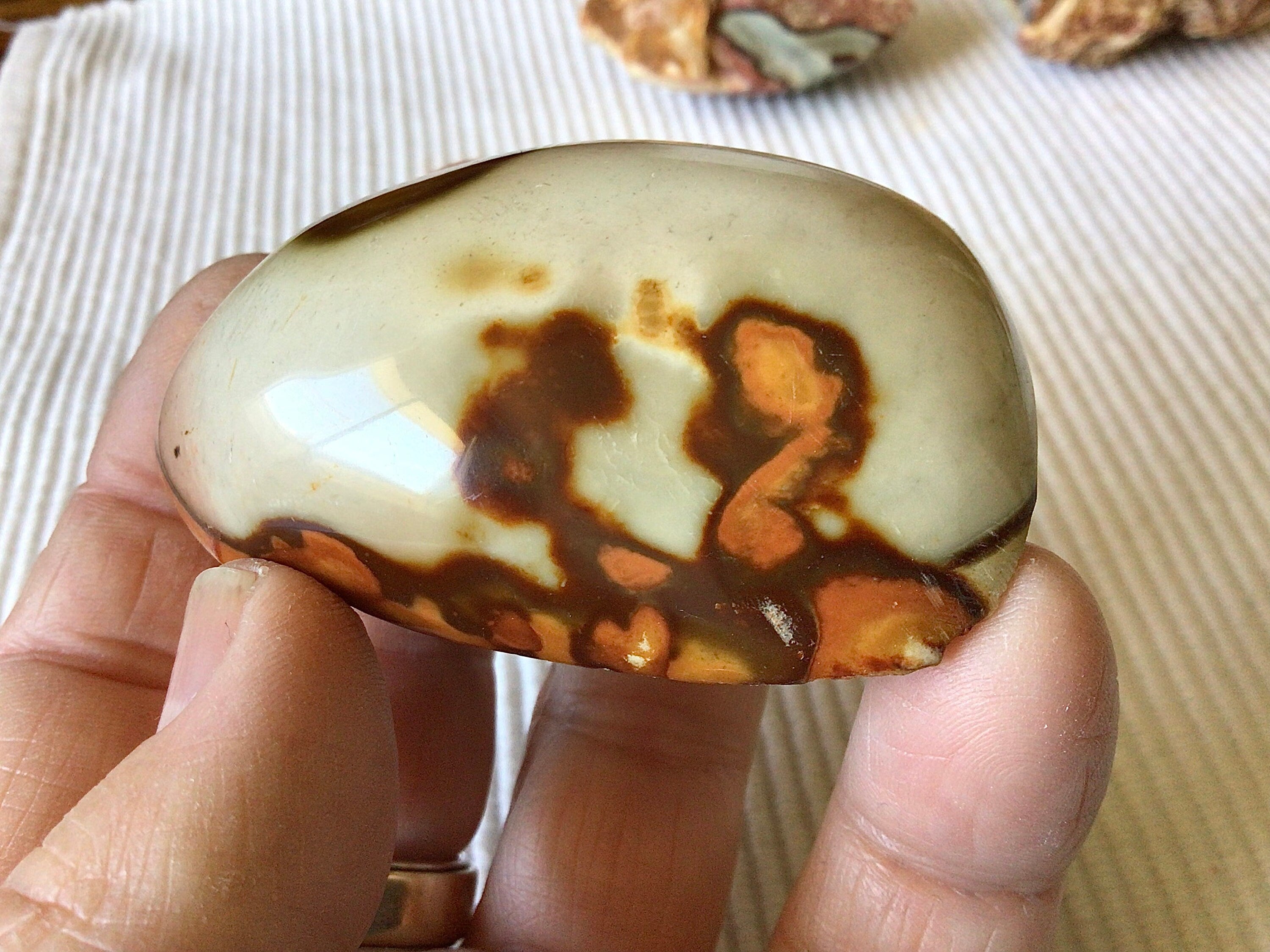 73g Polychrome Jasper One Side Polished 13B