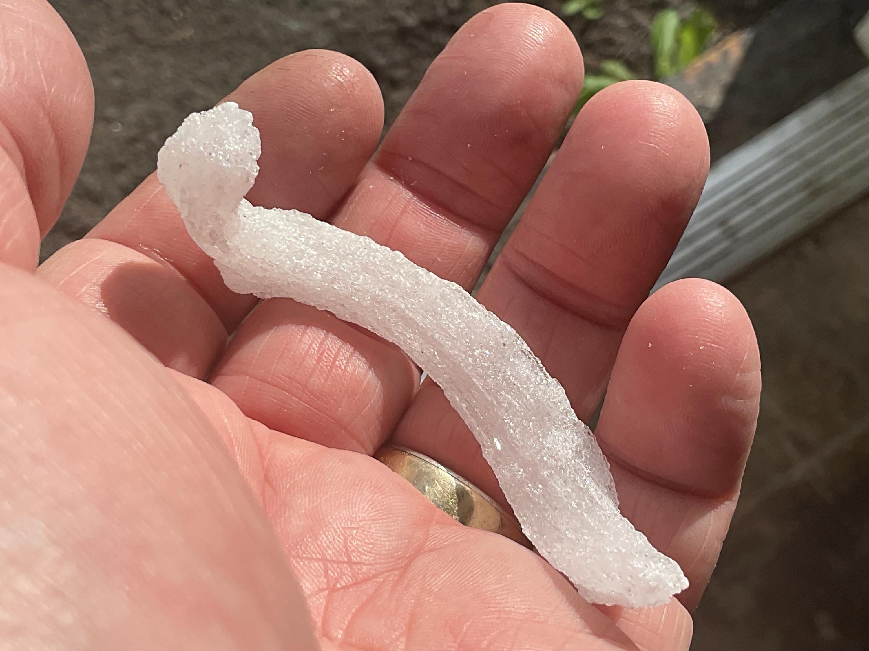 10g Rams Horn Selenite Specimen 4B