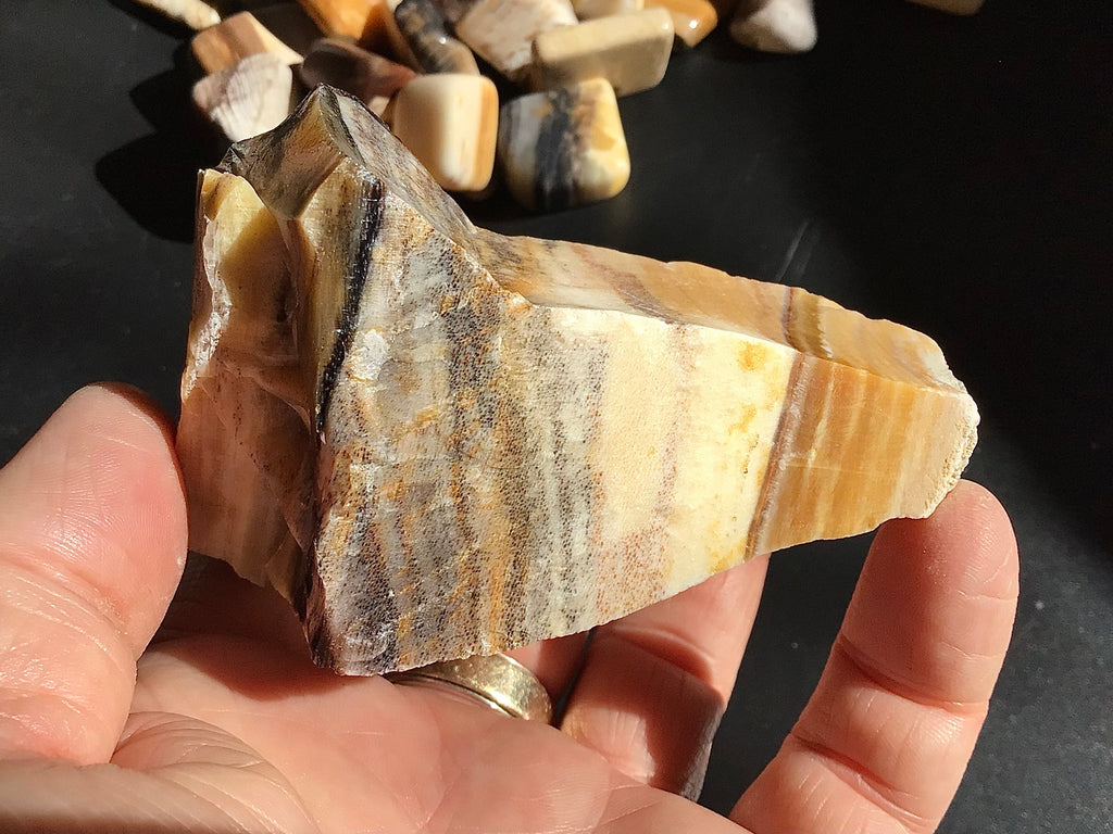 172g Natural Opalised Wood Rough Piece 6C