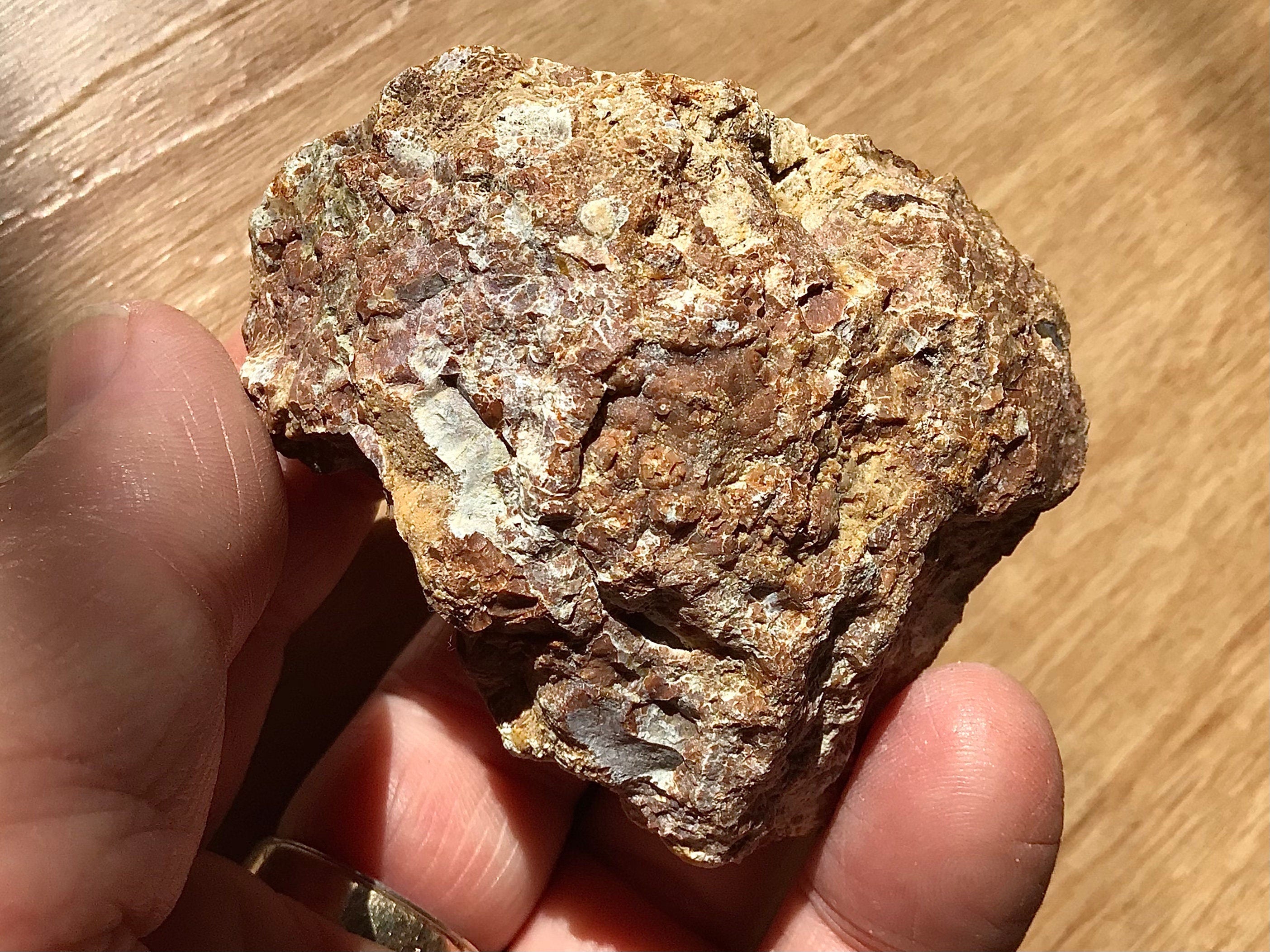 100g Mt Hay Rainforest Jasper Rough 2A