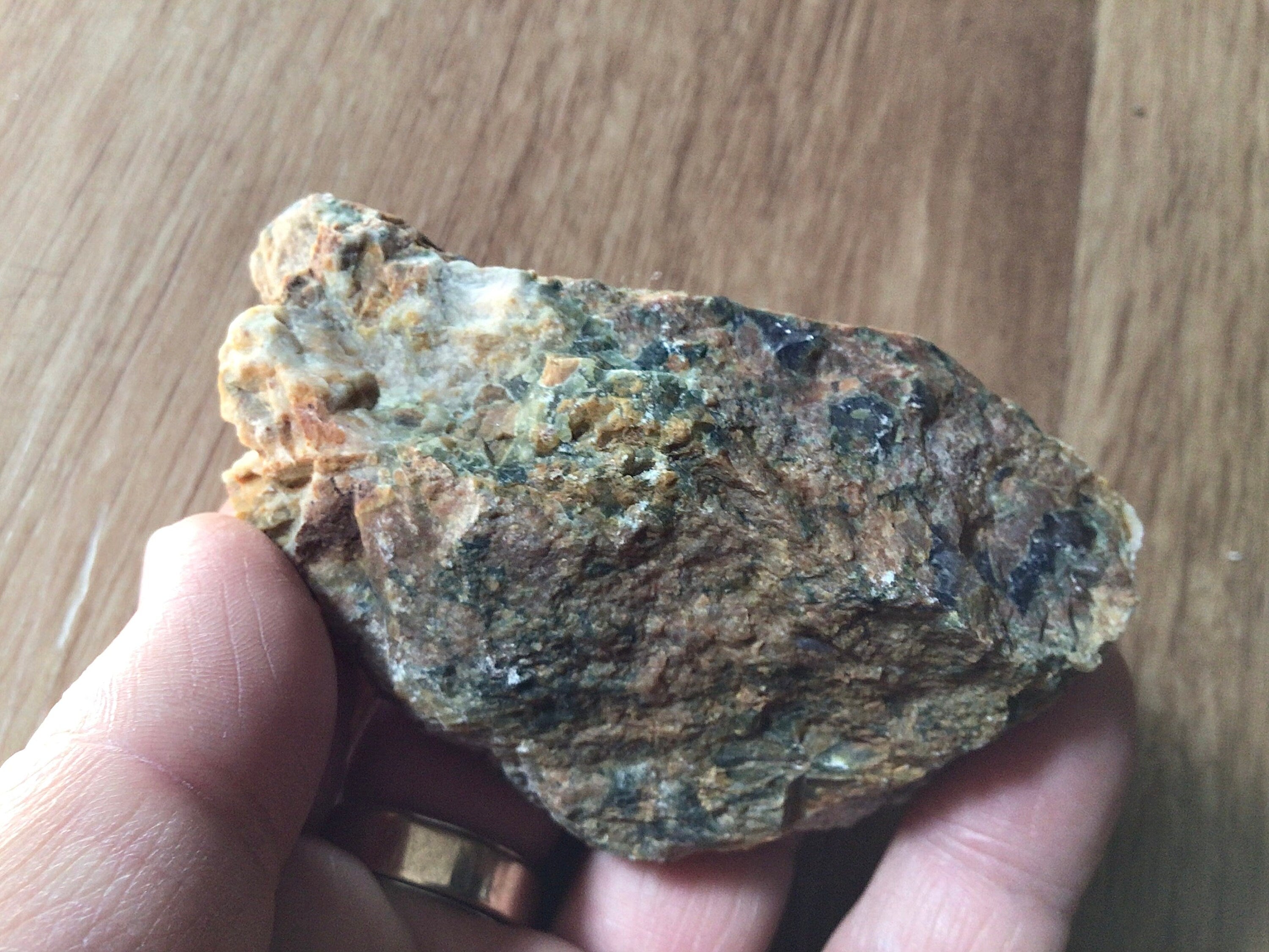 164g Mt Hay Rainforest Jasper Rough 4B