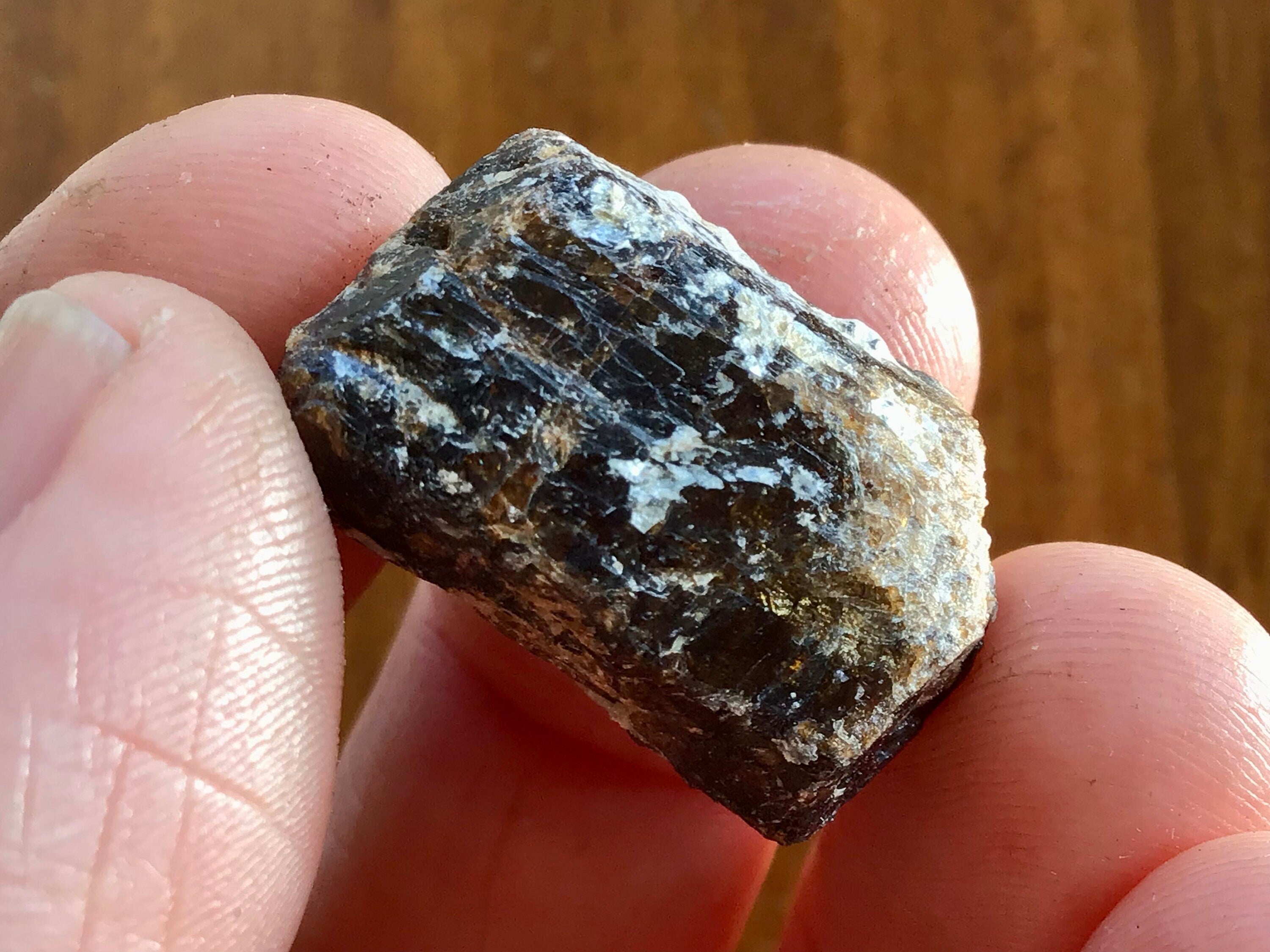 9g Yinnietharra Dravite Specimen 14B