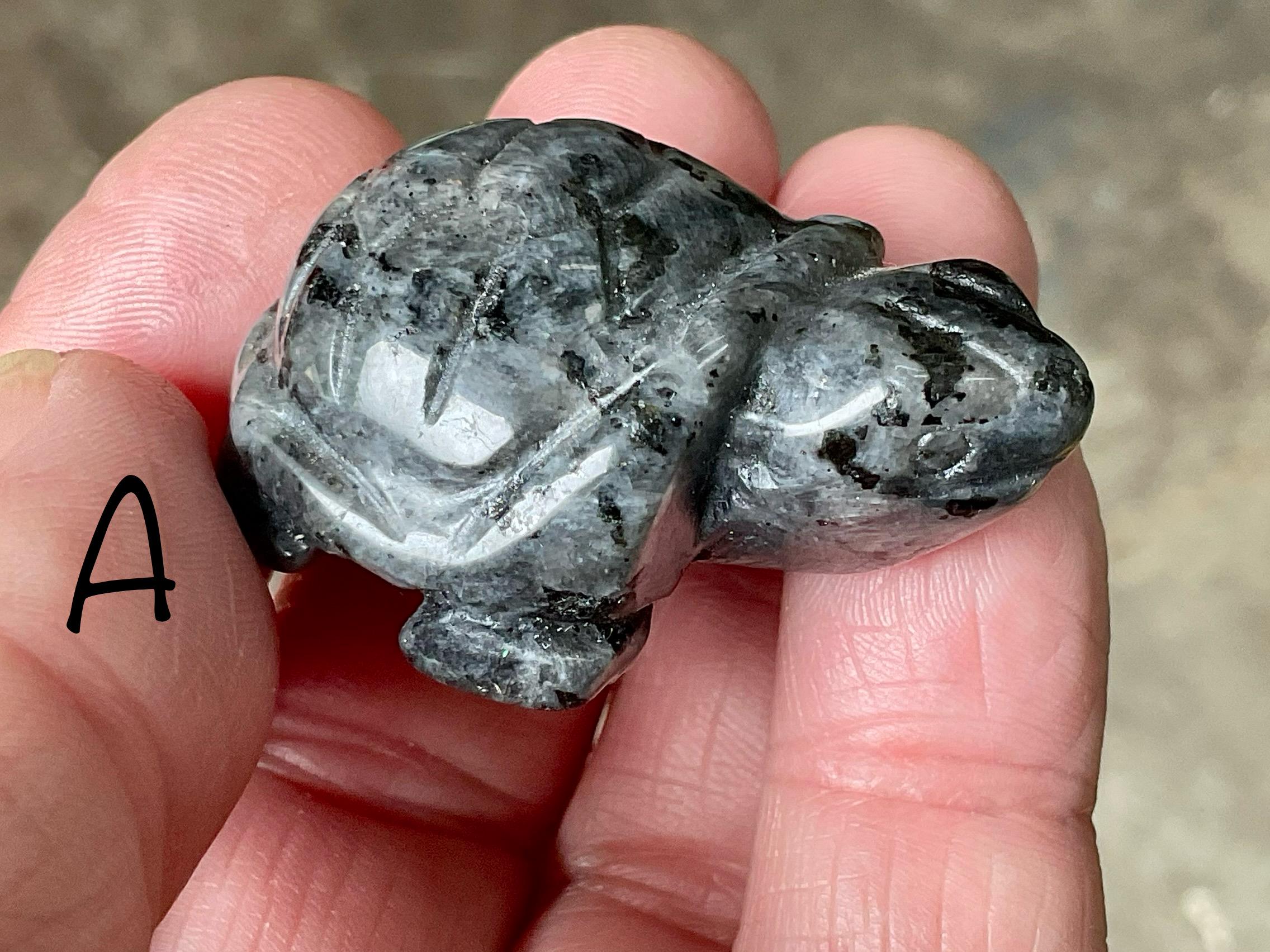Larvikite Small Turtle Group 2
