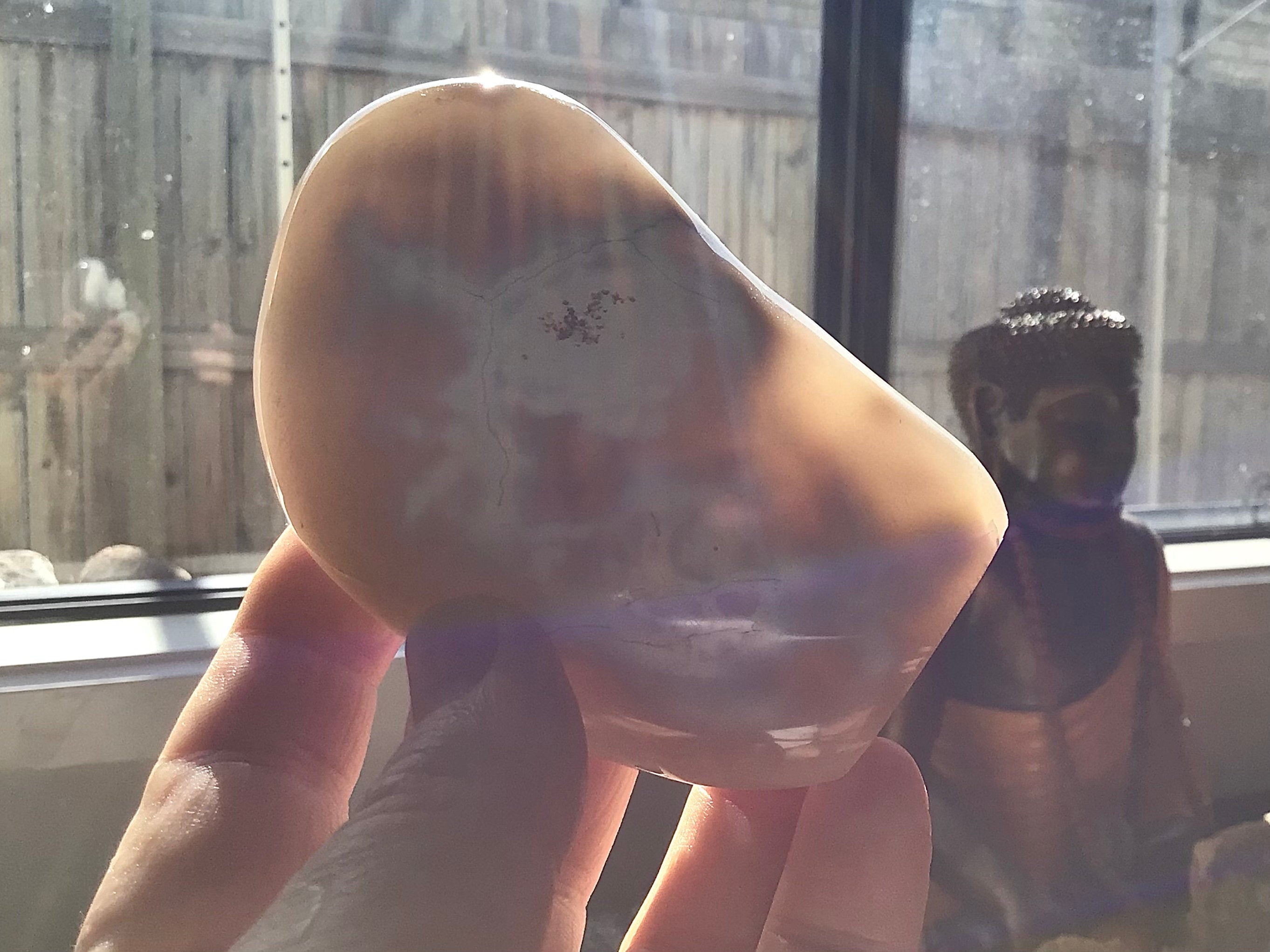 310g Orca Agate Freeform 4A