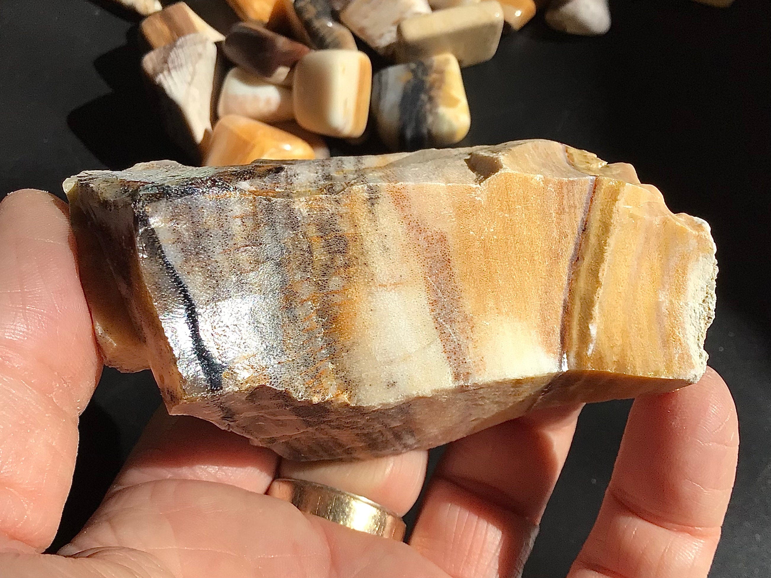 172g Natural Opalised Wood Rough Piece 6C