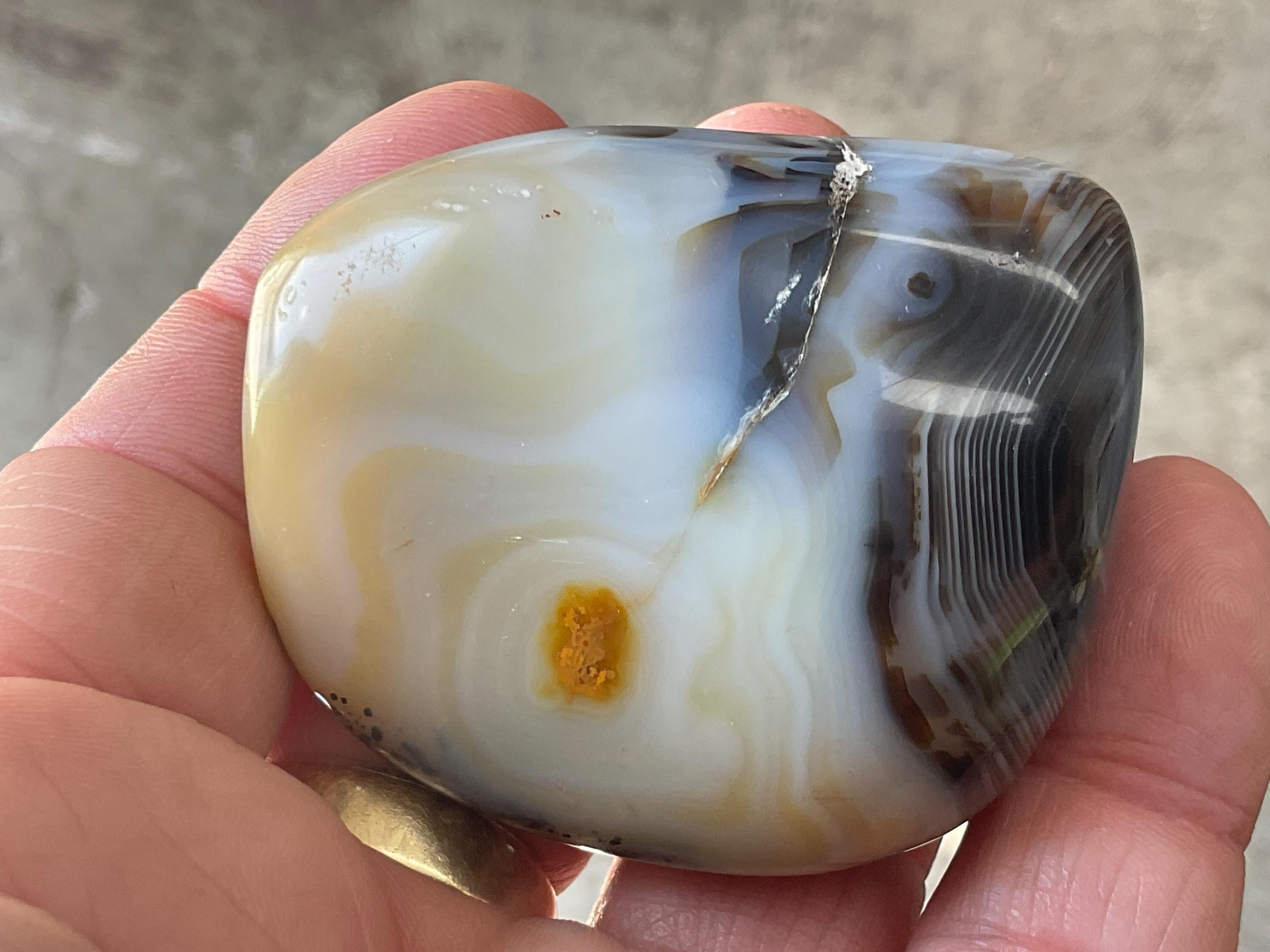 118g Dendritic Agate Palmstone A