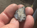 20g Australian Molybdenite on Quartz Specimen 3A