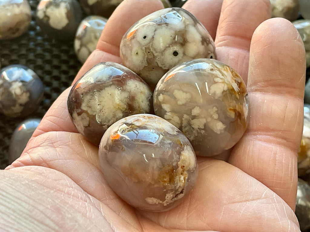 Black Flower Agate Tumbles