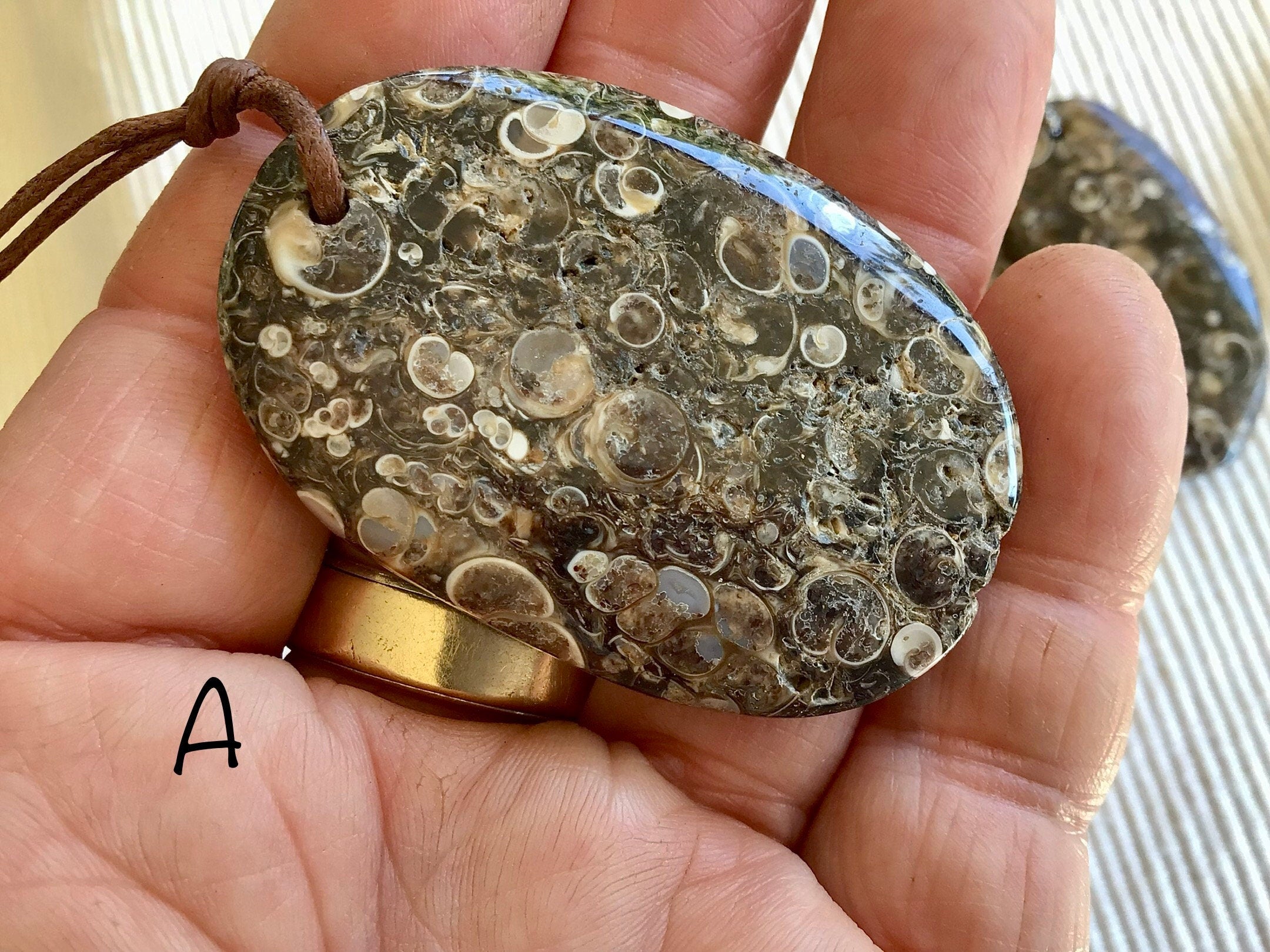 Large Turitella Agate Polished Pendant Group 2