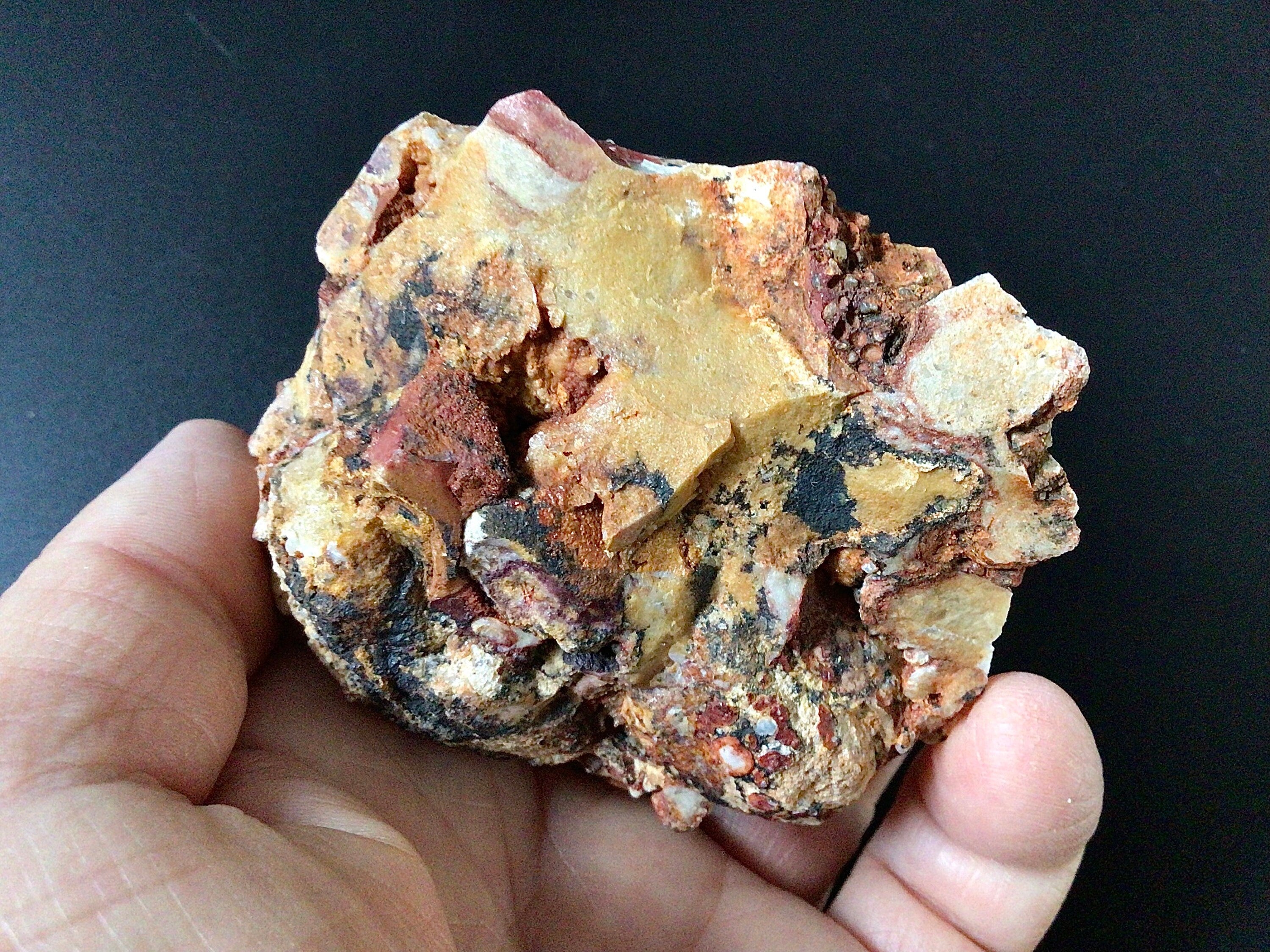188g Oncolite Rough Piece 4B