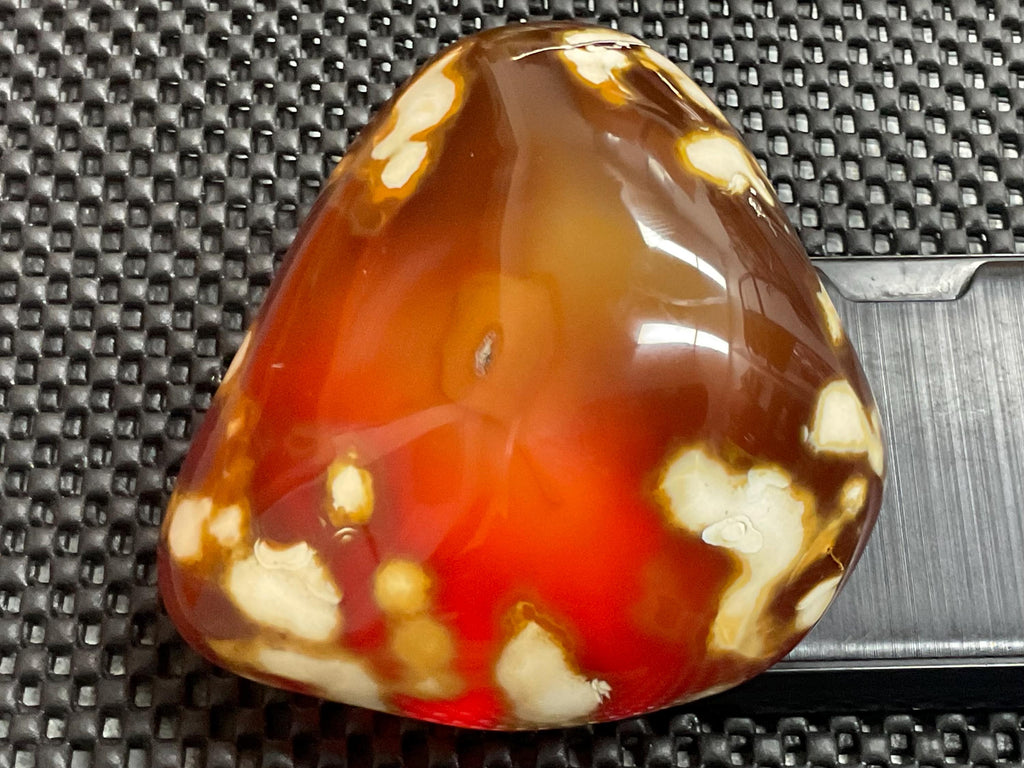 646g Carnelian Orca Agate Freeform 9A