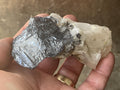 114g Australian Molybdenite on Quartz Specimen 2B