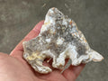 138g Fossilized/Agatised Coral Slab 2B