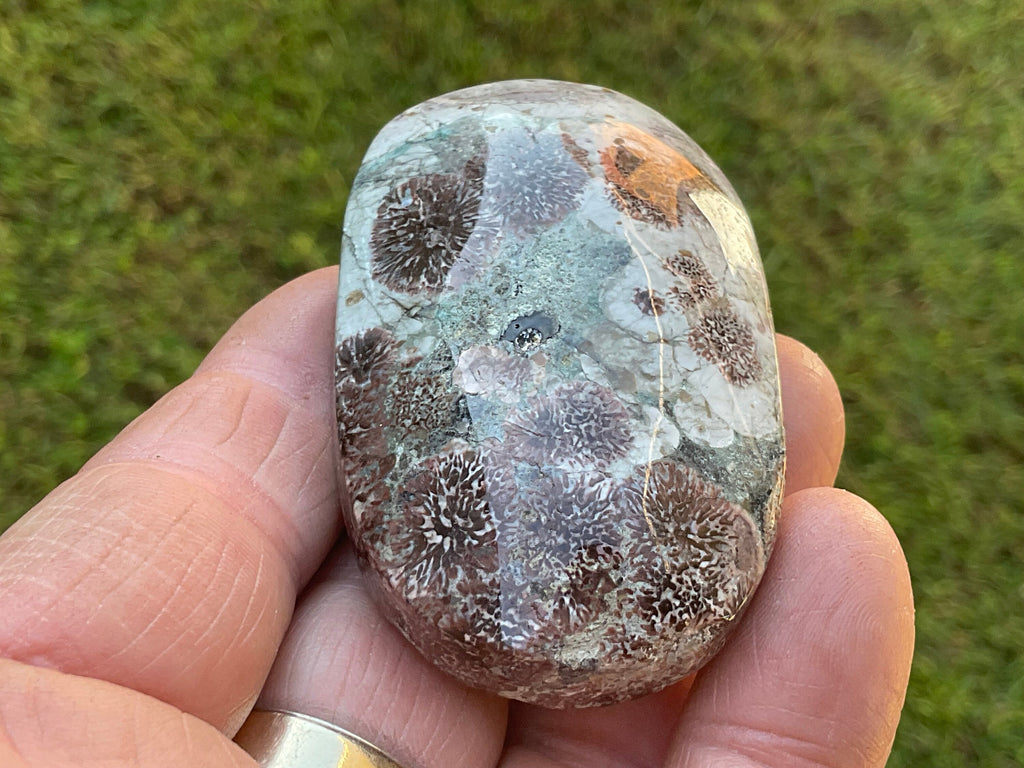80g Green Cherry Blossom Jasper Palmstone 6C