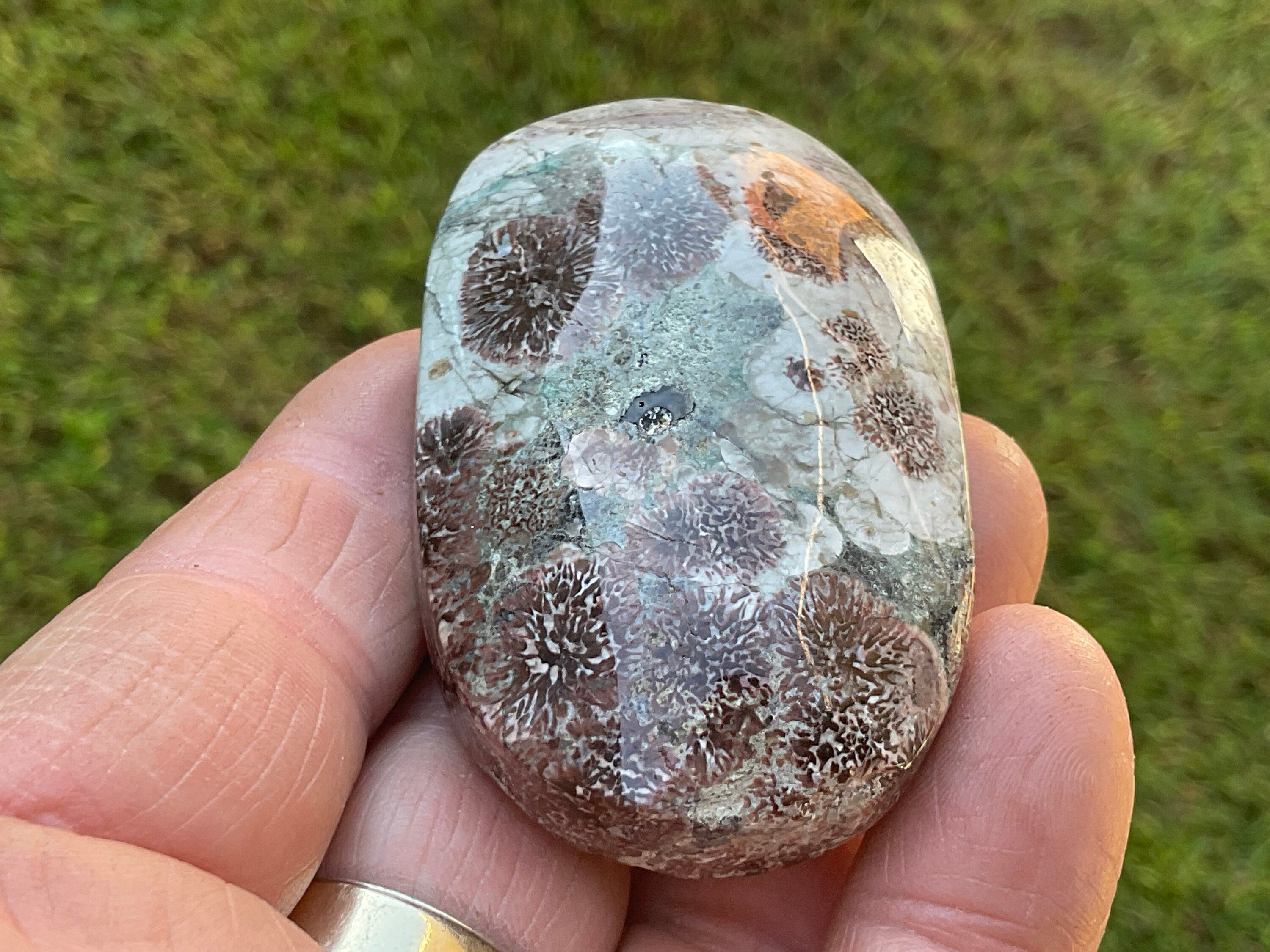 80g Green Cherry Blossom Jasper Palmstone 6C