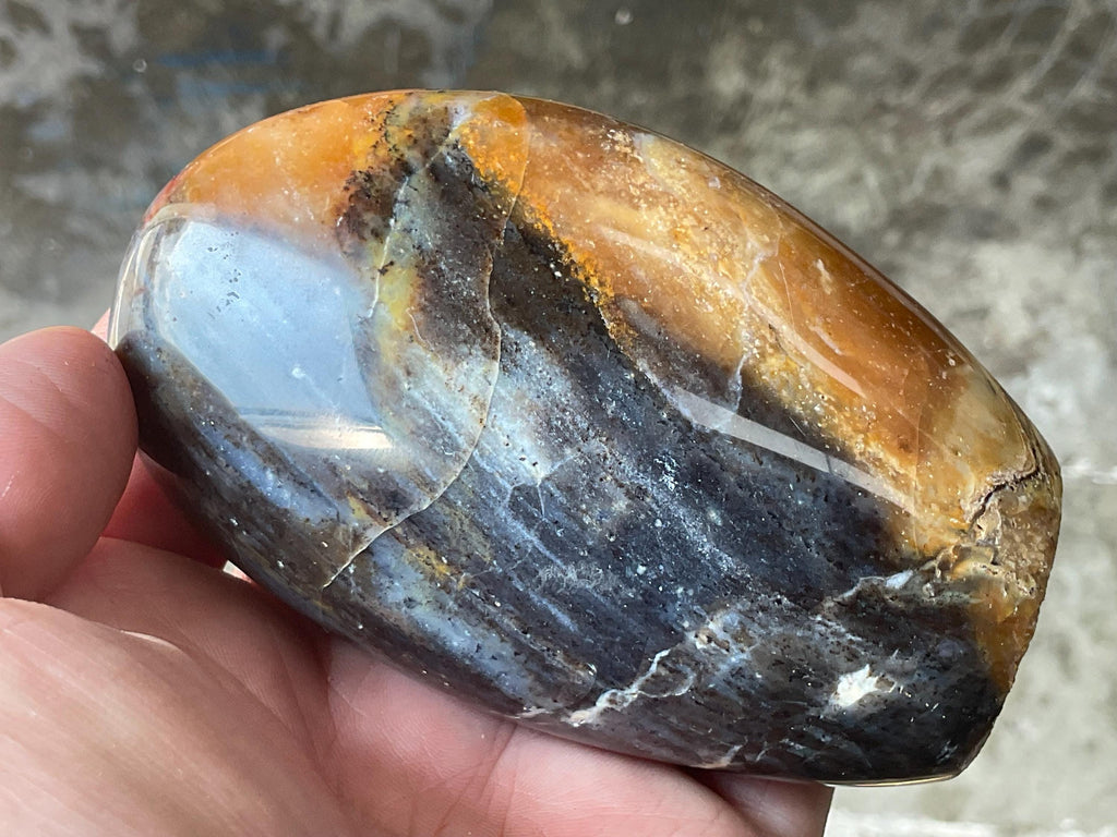 252g Petrified Wood Freeform A from Madagascar