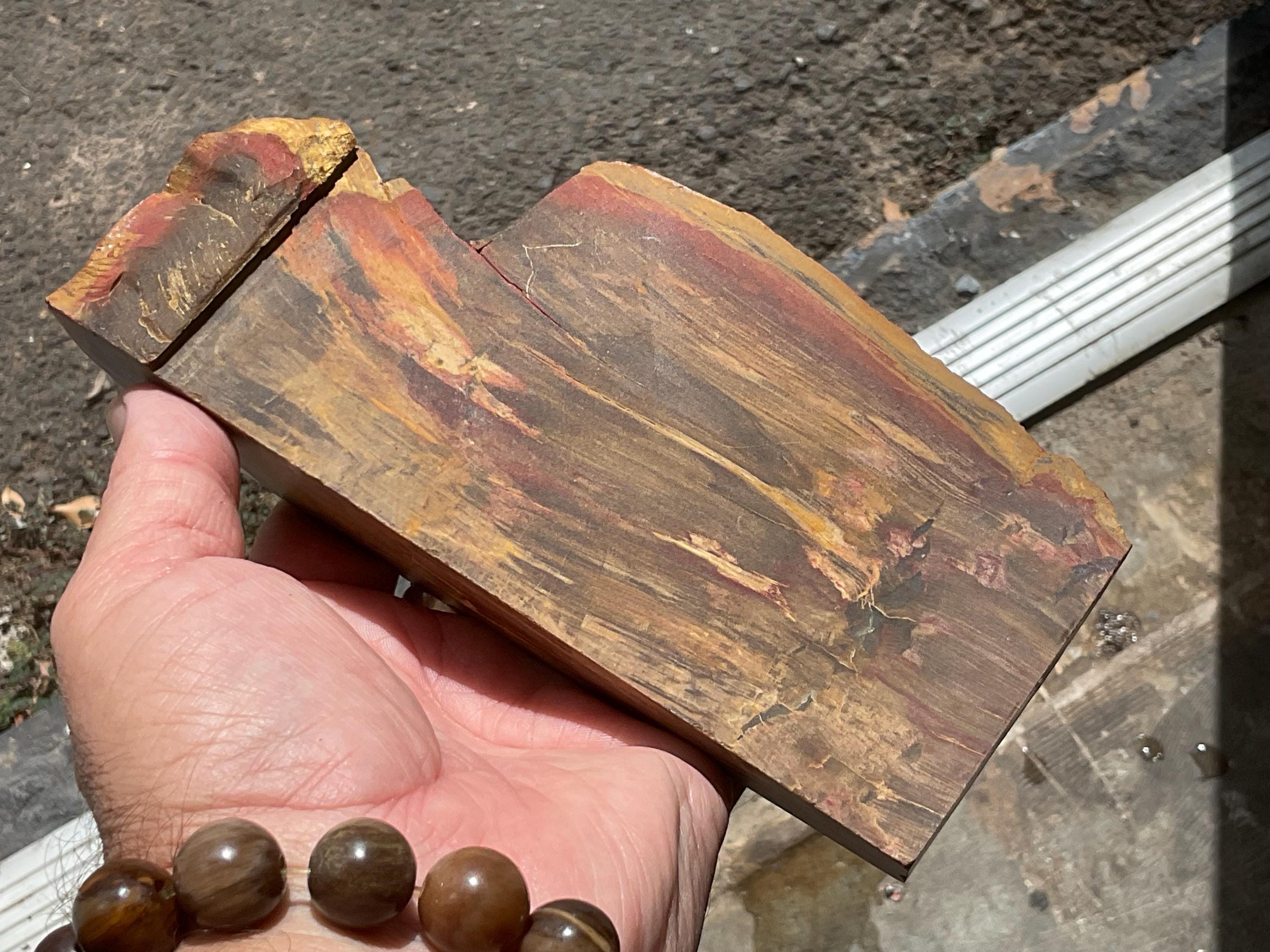 1,148g Unpolished Chinchilla Red Petrified Wood Split Pair