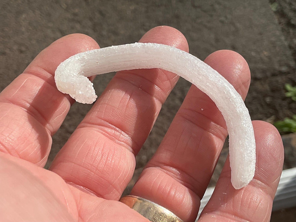 8g Rams Horn Selenite Specimen 3A