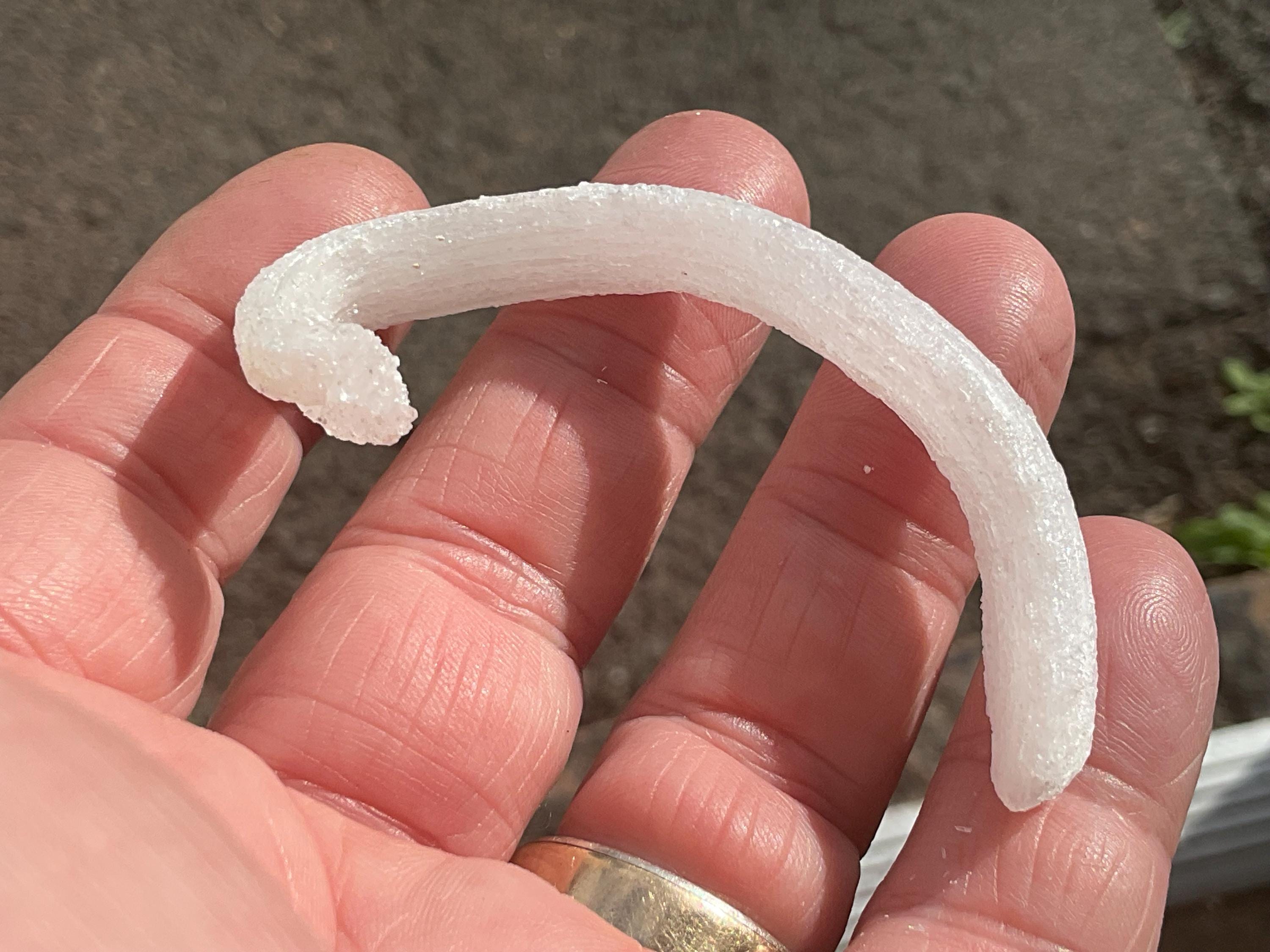 8g Rams Horn Selenite Specimen 3A