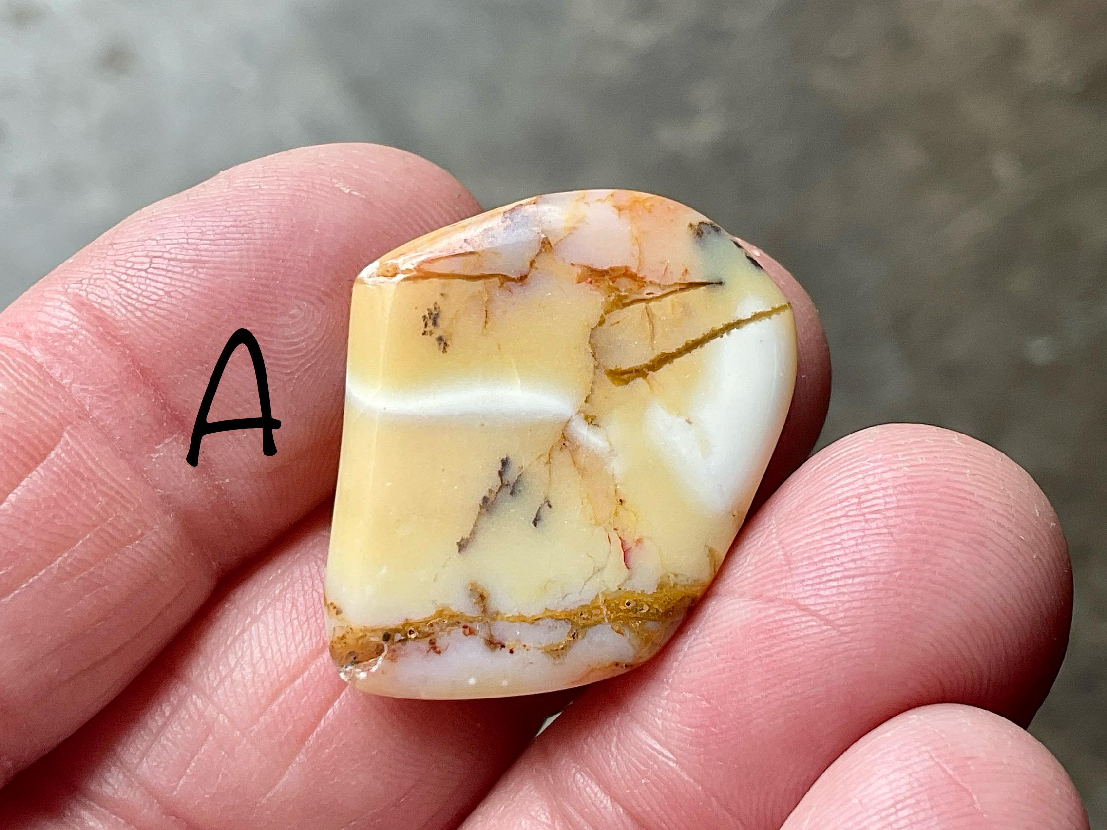 Western Australian ‘Rosella’ Dendritic Opalite Flat Stone Group