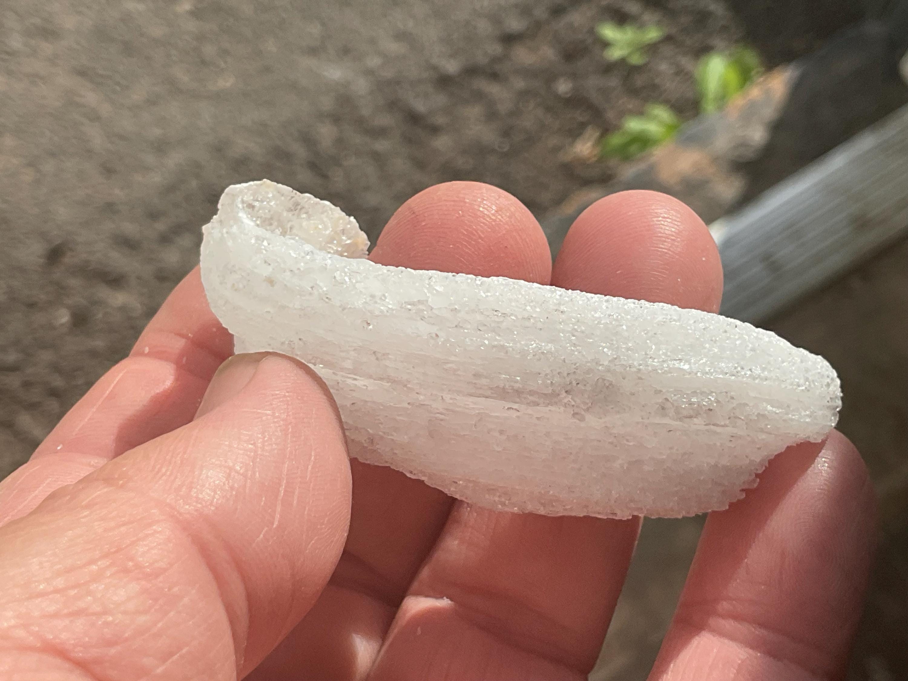 28g Rams Horn Selenite Specimen 6A