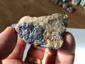 45g Australian Molybdenite Specimen 1E
