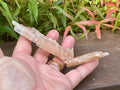 66g Gypsum (Selenite) Specimen from Lake Gilles, South Australia