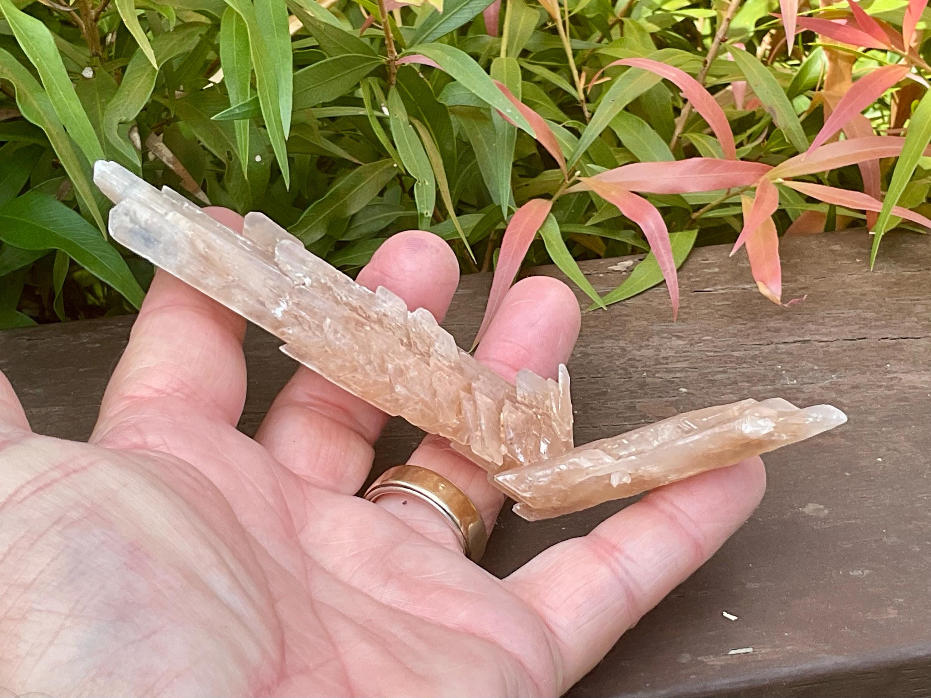 66g Gypsum (Selenite) Specimen from Lake Gilles, South Australia