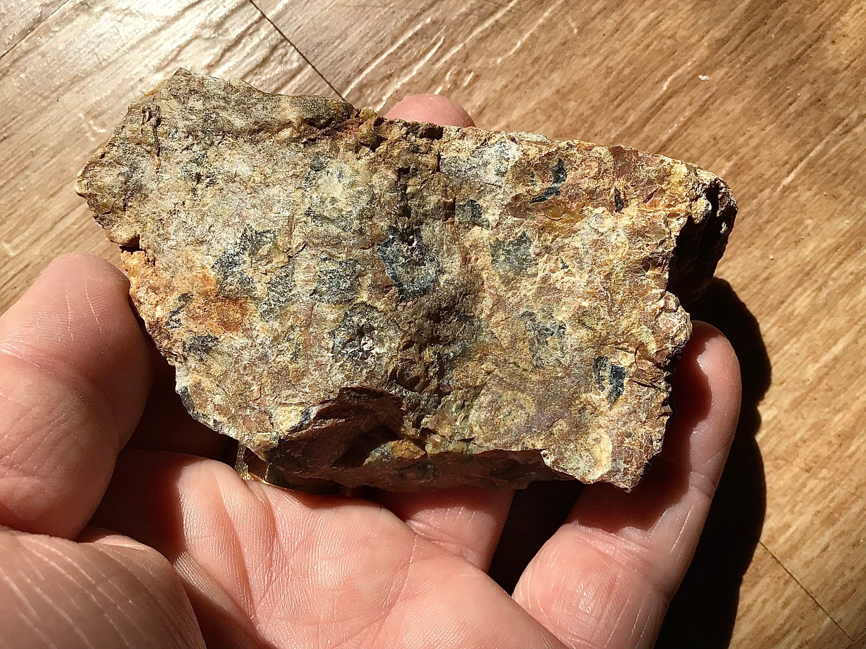 150g Mt Hay Rainforest Jasper Rough 4A