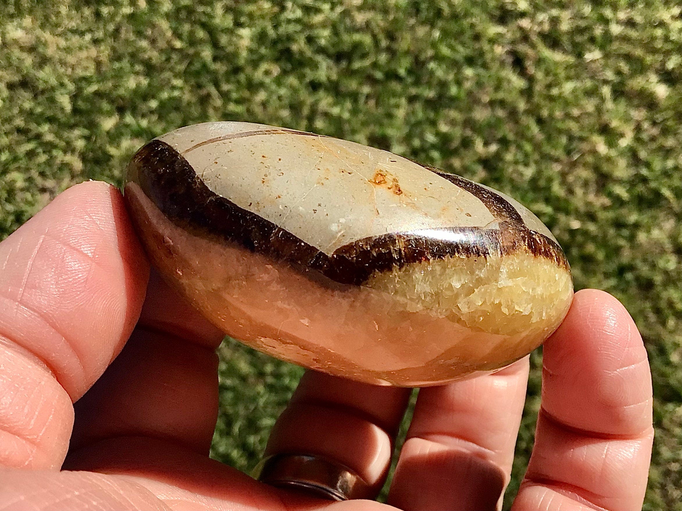 158g Madagascan Septarian Palmstone 2C