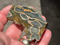 74g ‘Cloud’ Ocean Jasper Polished Freeform 2C