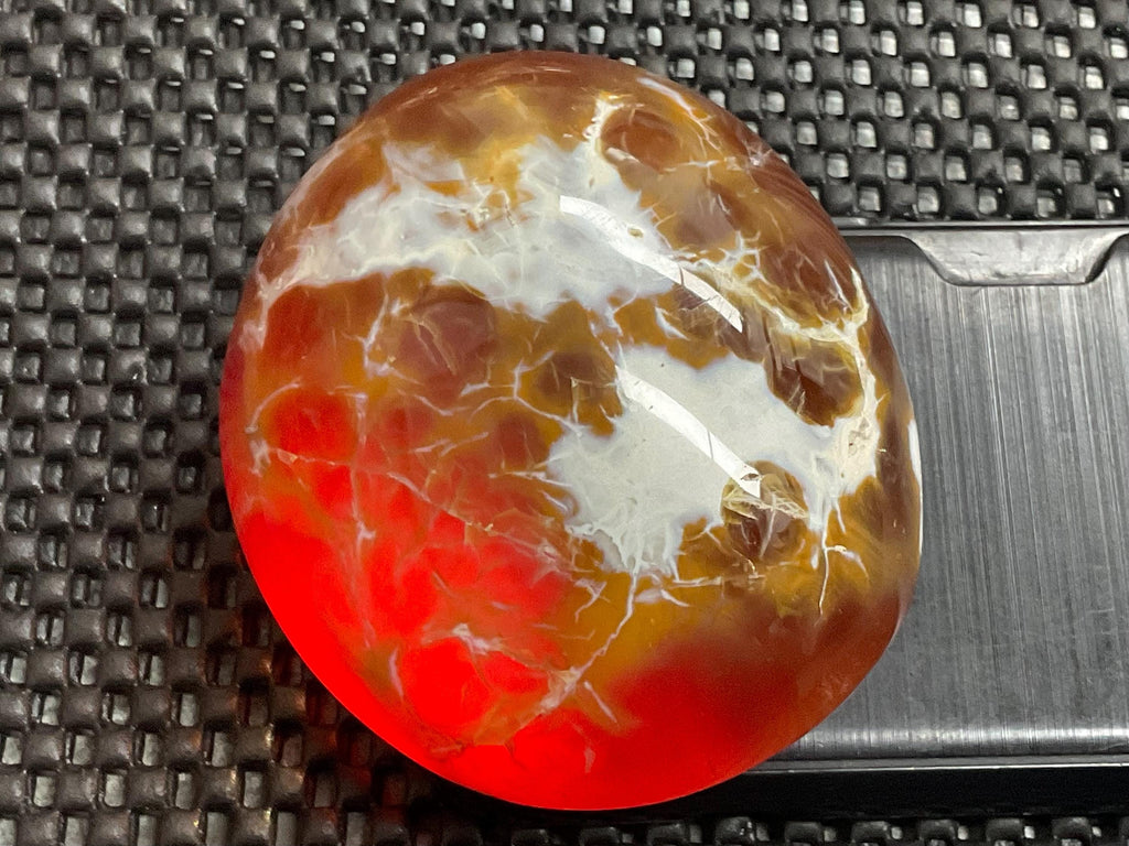 344g Carnelian Orca Freeform 8B