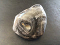 133g Large Crazy Lace Agate Palmstone 2B