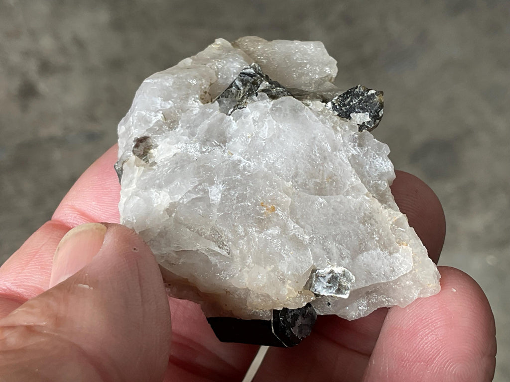 56g Western Australian Black Tourmaline (Schorl) in Quartz with Mica Specimen