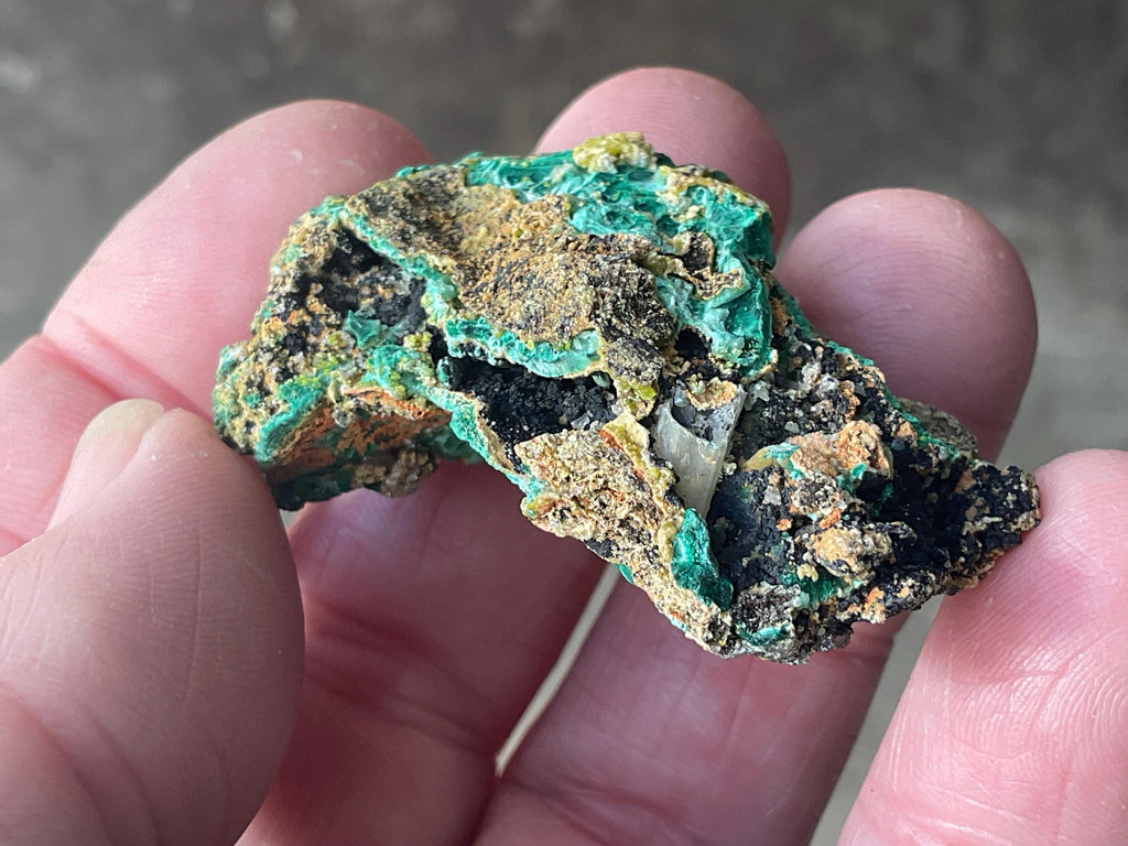 32g Australian Malachite Cerussite and Pyromorphite Specimen 6A