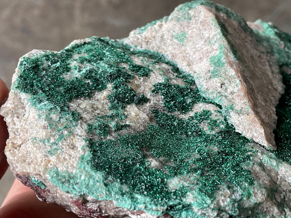 370g Atacamite Specimen 1D from Mt Gunson