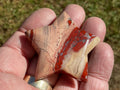 40g Brecciated Red Jasper with Chalcedony Star 3A