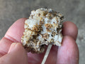46g Anglesite Specimen 2 from Block 14 Opencut Mine, Broken Hill